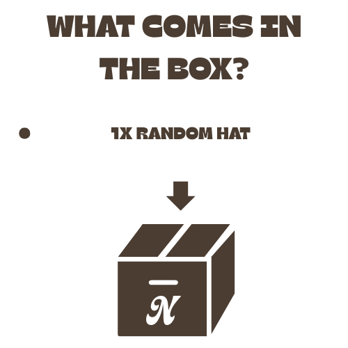 VINTAGE MYSTERY HAT
